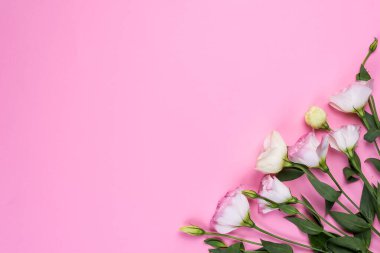 Merkezinde pembe Eustoma 'dan yapılmış boş bir boşluk olan çerçeve kompozisyonu düz yatıyordu. Pembe arka planda çiçek desenli köşeler.