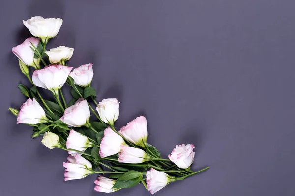 Composição de fronteira com espaço vazio no centro feito de eustoma rosa florescente, flat lay. cantos decorativos florais no fundo preto . — Fotografia de Stock