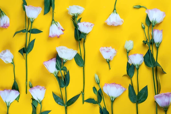 노란 배경에 있는 꽃 인우 구아 의모 형 — 스톡 사진