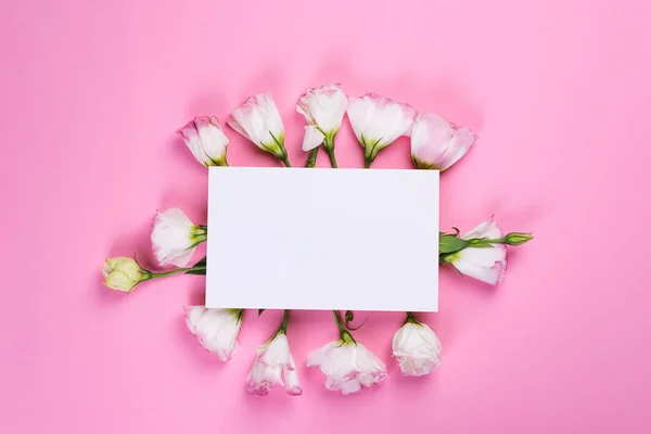 用粉红色背景的桉树花制成的纸薄片,平铺. 花卉装饰卡片 — 图库照片