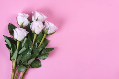 Pembe arkaplanda altın parıltılı pembe güller, düz bir zemin.