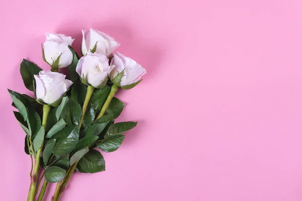 Rosa rosas flores com brilho de ouro em um fundo rosa, flat lay — Fotografia de Stock