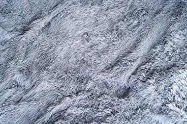 Grey sheepskin rug background. Close up shaggy fur textured background.