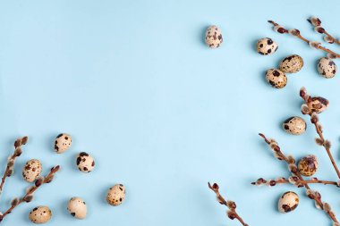 Mavi arka planda bıldırcın yumurtalı am söğüdü dalları, boşluğu kopyala