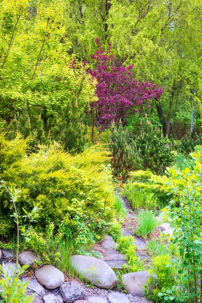 Stenen wandelpad tussen verse lente groene planten met kleurrijke bloei. — Stockfoto