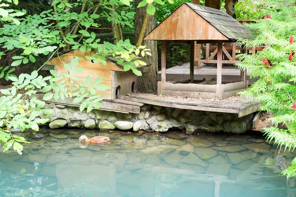 Handmade wooden houses for ducks on a pond with light turquoise water under green trees of sumach.
