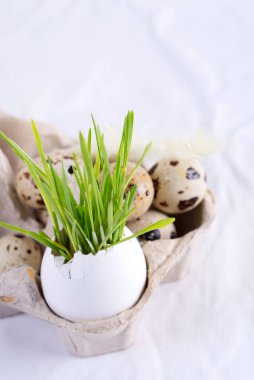 Kağıt kutuda bıldırcın yumurtaları ve beyaz tekstil arka planında yumurta kabuğu içinde taze yeşil çimenler olan Paskalya kartı..