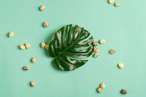 Cartão Festivo Páscoa Folha Tropical Verde Fresca Fábrica Monstera Pequenos — Fotografia de Stock