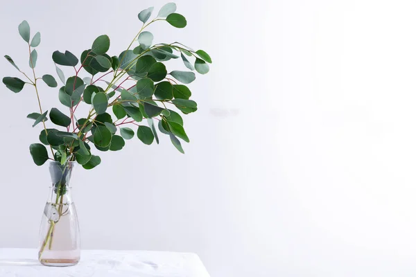 Galho natural de planta de eucalipto perene fresca em uma caneca de cerâmica em uma mesa coberta de pano têxtil contra a parede cinza claro . — Fotografia de Stock