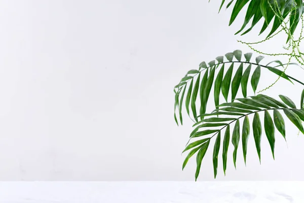 Quadro de canto saudação de galhos verdes de folhas de palma exóticas tropicais acima do fundo branco têxtil . — Fotografia de Stock