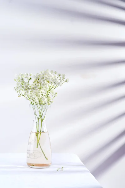 Galhos de flores frescas de planta de Gypsophila em vaso de vidro em uma mesa coberta de tecido contra parede com sombras de jalousie . — Fotografia de Stock