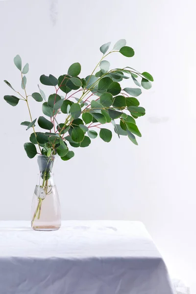 Galho natural de planta de eucalipto perene fresca em uma caneca de cerâmica em uma mesa coberta de pano têxtil contra a parede cinza claro . — Fotografia de Stock