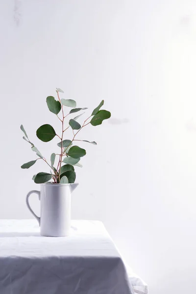 Galho natural de planta de eucalipto perene fresca em uma caneca de cerâmica em uma mesa coberta de pano têxtil contra a parede cinza claro . — Fotografia de Stock