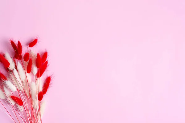 Quadro de canto festivo com flores secas macias de outono vermelho e branco Lagurus Ovatus grama em um fundo rosa . — Fotografia de Stock