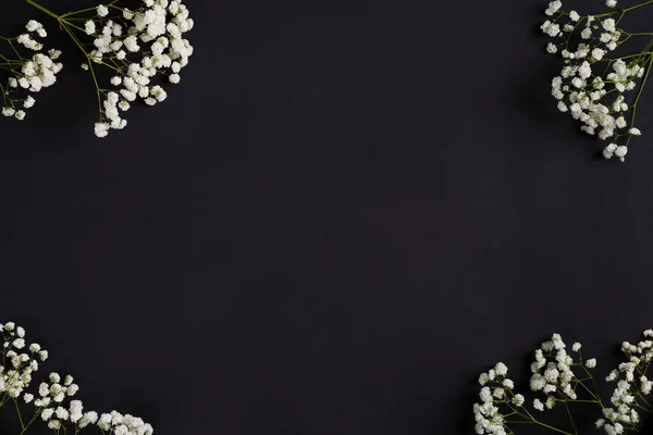 Färska blommor kvistar av Gypsophila växt som ett hörn hälsning gräns på en svart bakgrund. Ovanifrån. — Stockfoto