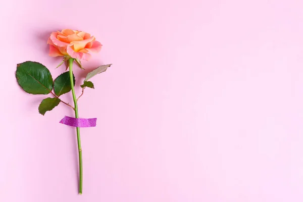 薄いピンクの背景にテープで固定された新鮮なバラの花からコーナーの境界線. — ストック写真