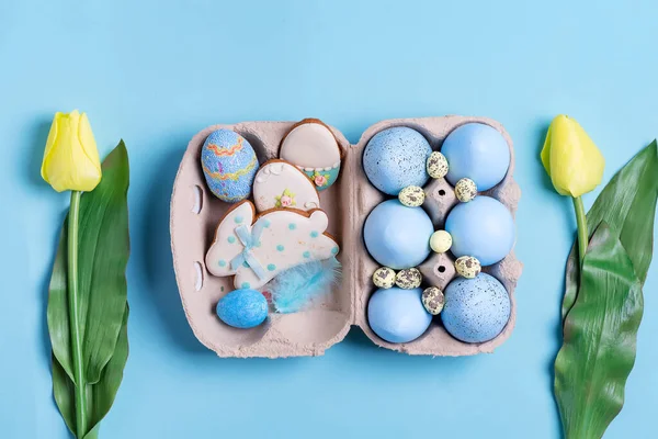 Osterkomposition aus handbemalten Eiern in Pappschachtel, Tulpenblumen und gebackenen Plätzchen auf blauem Hintergrund. — Stockfoto