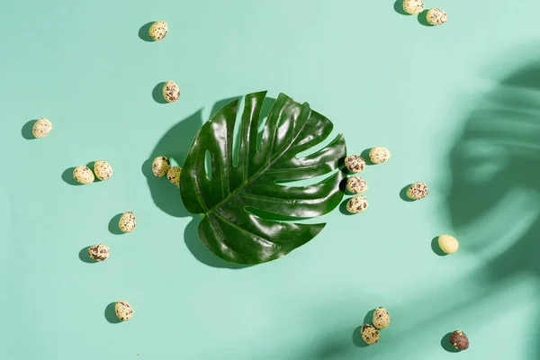 Composición de saludo de pequeños huevos de codorniz y planta de hoja tropical verde con sombra sobre fondo pastel turquesa . —  Fotos de Stock