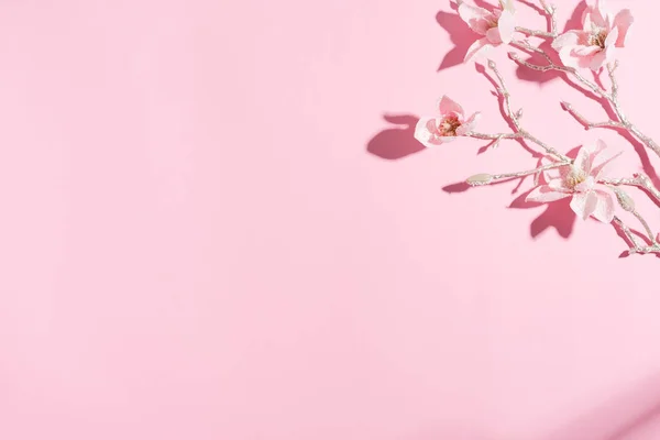 밝은 분홍빛 배경에 진한 그림자가 있는 싱싱 한 난초의 가지에서 모퉁이 의구 성에 대한 인사말. — 스톡 사진