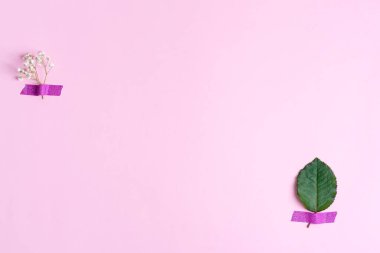 Gypsophilas dal ve yeşil yaprak pembe arka planda bant ile bağlı yaratıcı şenlik arkaplanı