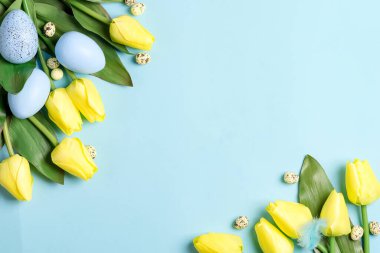 Mavi zemin üzerinde laleler ve fotokopi alanı olan Paskalya yumurtaları kutuda. Paskalya arkaplanı veya paskalya kavramı.