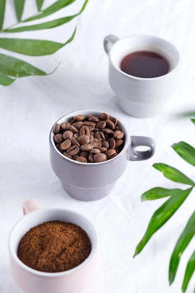 Keramiska koppar med nyrostade kaffebönor och färska malda aromatiska kaffe på en ljus bakgrund och gröna palmblad. — Stockfoto