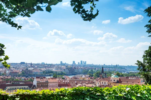 Prague, Czech Republic - 17.07.2018. Green leaves frame of wonderful cityscape with roofs of historical and modern part of Prague city, Czech Republic. — Stock Photo, Image
