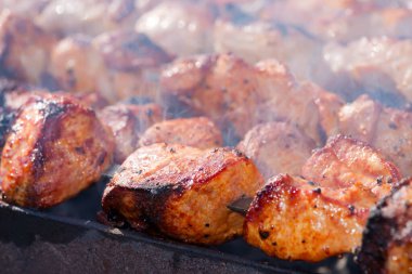 Bahçede ızgara kafkas ızgarası, yakın.