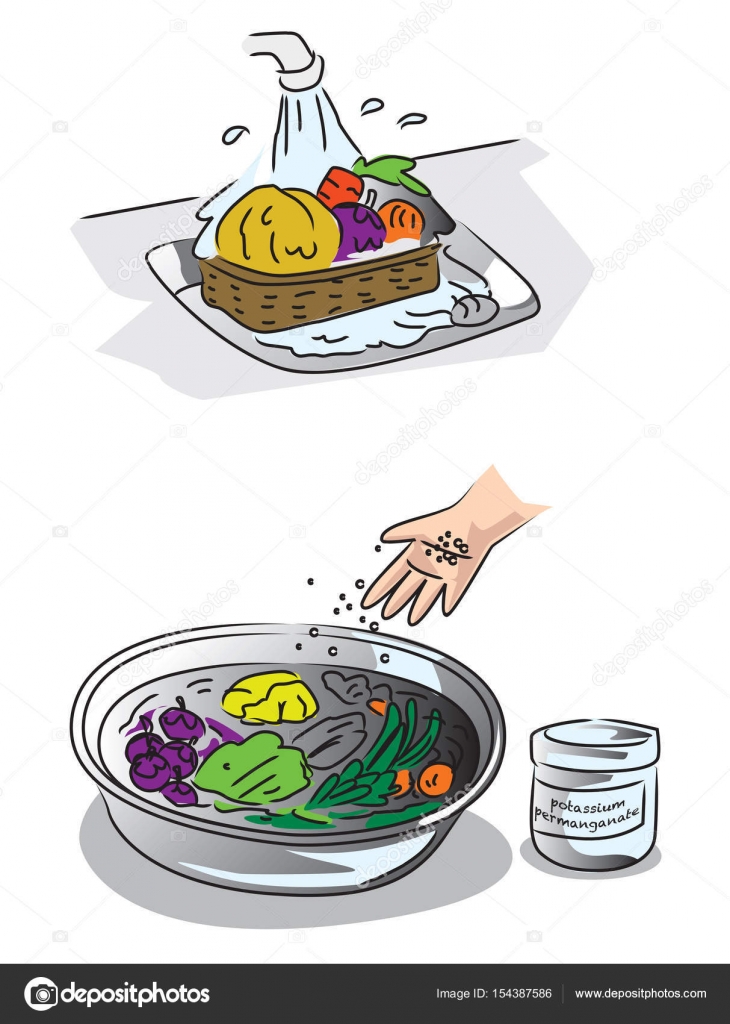 30+ Top For Imagenes De Lavar Frutas Y Verduras Animadas - Digis Crapital