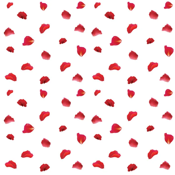 Tela de patrón de pétalos de rosa roja sobre fondo blanco — Vector de stock