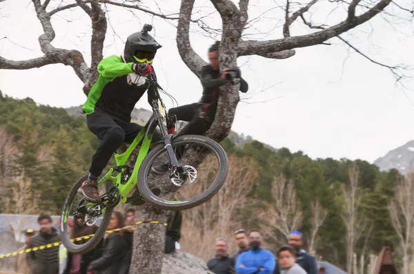 Salto extremo en una bicicleta en el bosque — Foto de Stock