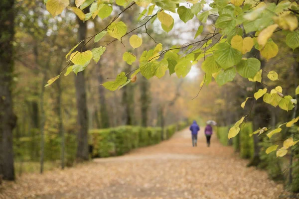 Koppel wandelen in de regen Rechtenvrije Stockfoto's