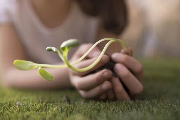 해바라기의 어린 소녀와 젊은 식물 — 스톡 사진