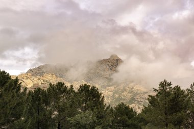 Bulutların altında ormandaki günbatımında çerçeveli dağ