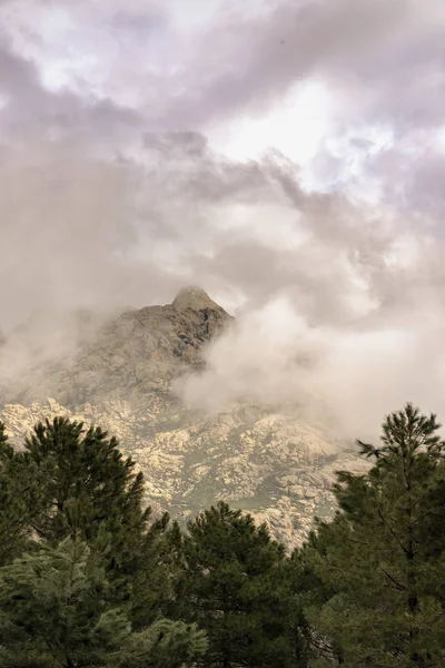 Mountain framed in the forest under the clouds at sunset — Stock Photo, Image