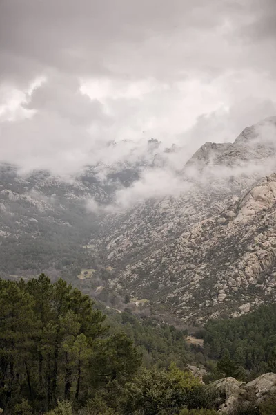 Mountain framed in the forest under the clouds at sunset — Stock Photo, Image