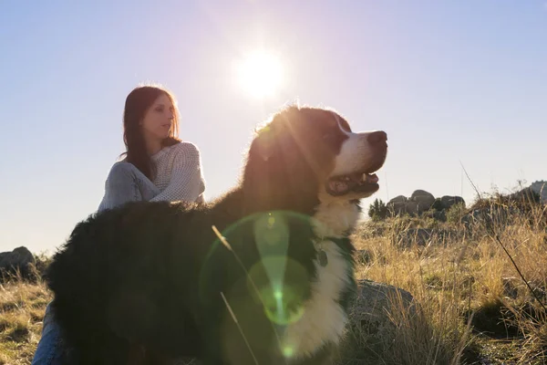 Mujer con su mascota contempla la puesta de sol desde la parte superior de la h —  Fotos de Stock