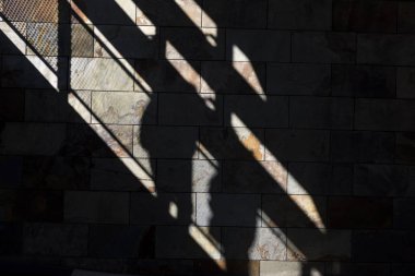 Genç adam gölgede güneşin ışınları tarafından aydınlatılmış pozlar