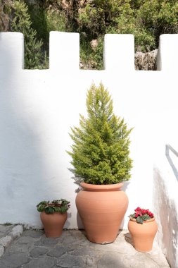 Alicante, İspanya ilinin Guadalest köyde ayrıntılarını