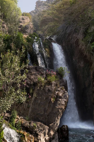 Détails des sources de la rivière Algar dans la province d'Ali — Photo
