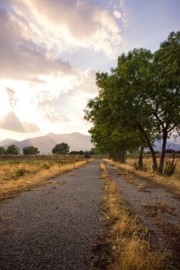 Yeşil çimenli, yollu ve bulutlu yaz manzarası