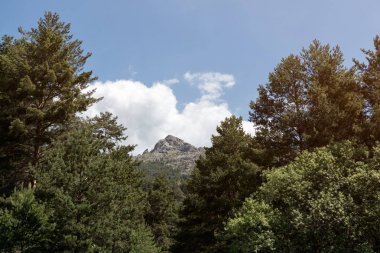 Işınları ve mountai sabah açık gökyüzü güzel gündoğumu