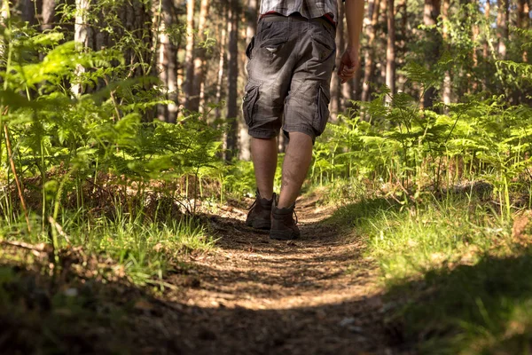 Man of adventure in the forest on a sunny spring day — Stock Photo, Image