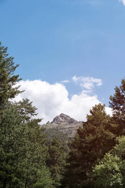 Işınları ve mountai sabah açık gökyüzü güzel gündoğumu