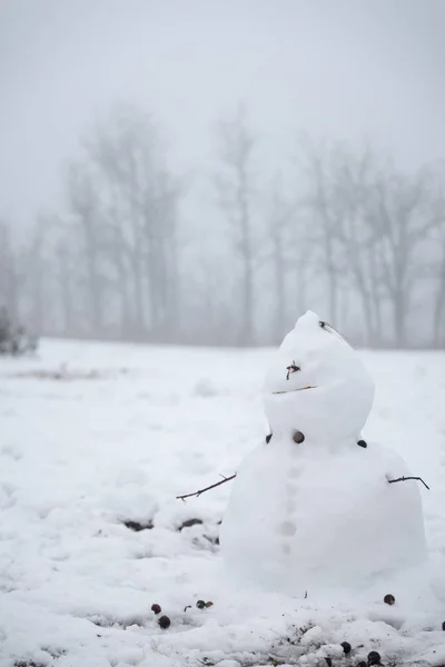 Eriyen kardan adam ve ufuk arka plan. — Stok fotoğraf