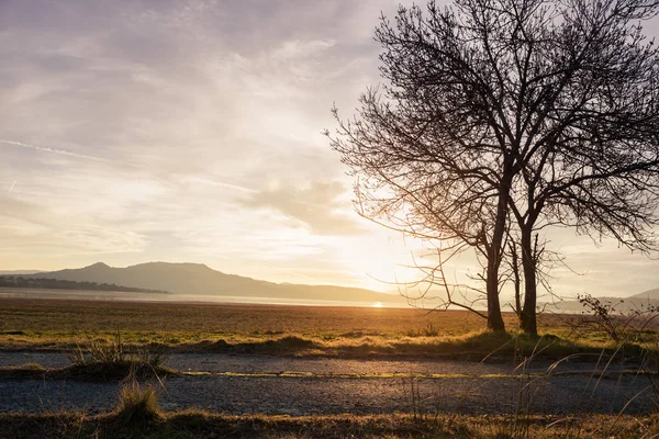 Old road on the lake during sunset — Stock Photo, Image