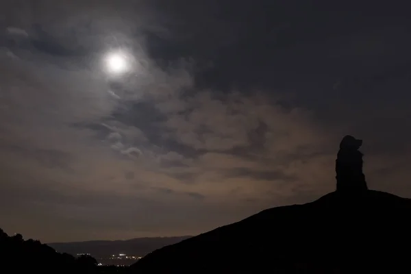 Köpek üstüne Ayın ışığı altında silüeti — Stok fotoğraf