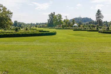 Çiçekler ve ağaçlar ile yeşil bahçe manzaralı