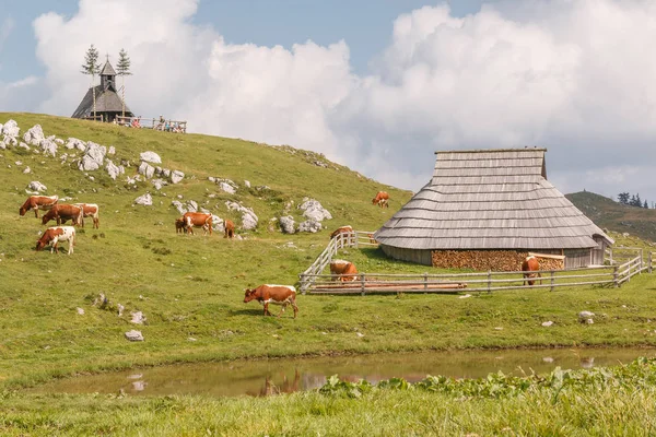 Old wooden houses in the mountains — Stock Photo, Image