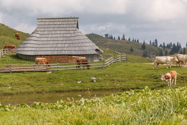 Old wooden houses in the mountains — Stock Photo, Image